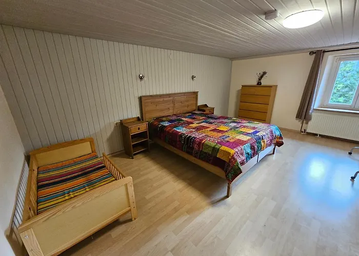 Wutachschlucht - Spacious Apartment In Renovated Farmhouse